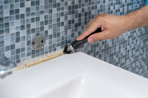 Best Bathroom Mold Remediation in Linden, AL