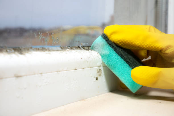 Best Industrial Mold Remediation in Linden, AL