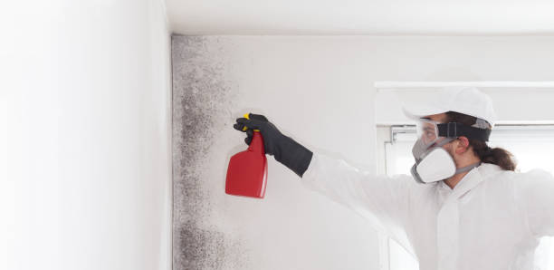 Best Industrial Mold Remediation in Linden, AL
